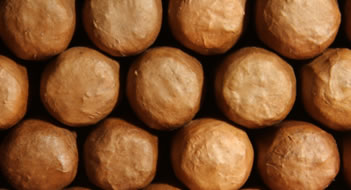 Cigars packed in humidor